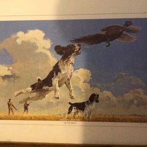 Meet your Posher, Paul